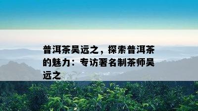 普洱茶吴远之，探索普洱茶的魅力：专访著名制茶师吴远之