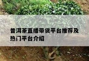 普洱茶直播带货平台推荐及热门平台介绍