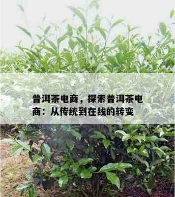 普洱茶电商，探索普洱茶电商：从传统到在线的转变