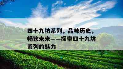 四十九坊系列，品味历史，畅饮未来——探索四十九坊系列的魅力