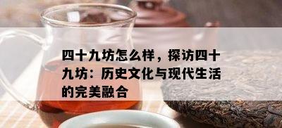 四十九坊怎么样，探访四十九坊：历史文化与现代生活的完美融合