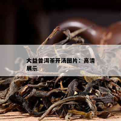 大益普洱茶开汤图片：高清展示