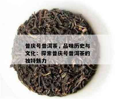 普庆号普洱茶，品味历史与文化：探索普庆号普洱茶的特别魅力