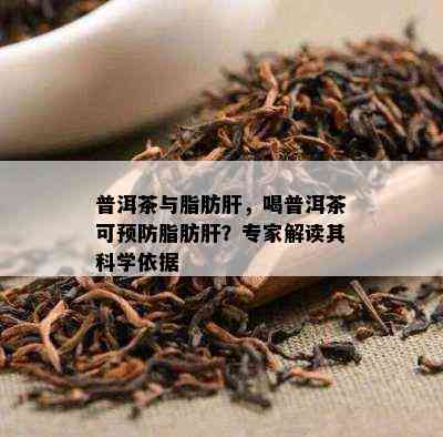 普洱茶与脂肪肝，喝普洱茶可预防脂肪肝？专家解读其科学依据