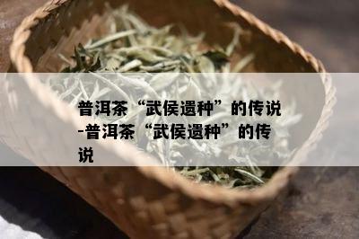 普洱茶“武侯遗种”的传说-普洱茶“武侯遗种”的传说