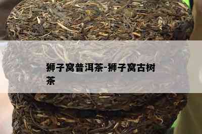 狮子窝普洱茶-狮子窝古树茶