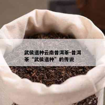 武侯遗种云南普洱茶-普洱茶“武侯遗种”的传说