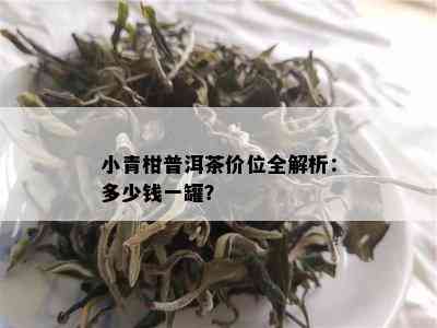 小青柑普洱茶价位全解析：多少钱一罐？