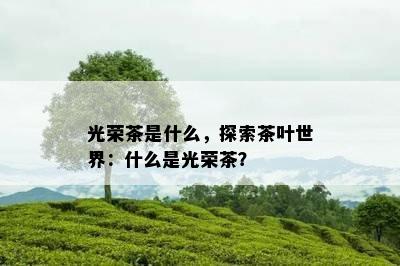 光荣茶是什么，探索茶叶世界：什么是光荣茶？