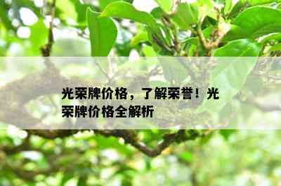 光荣牌价格，熟悉荣誉！光荣牌价格全解析