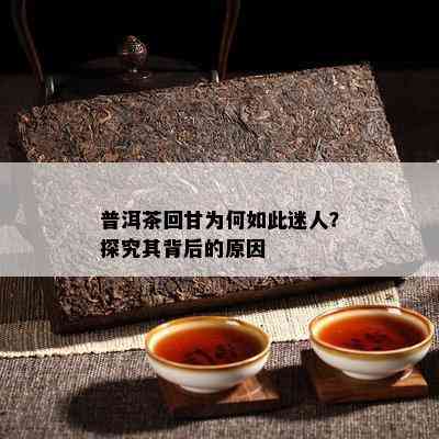 普洱茶回甘为何如此迷人？探究其背后的起因