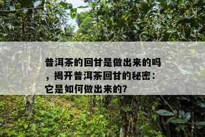 普洱茶的回甘是做出来的吗，揭开普洱茶回甘的秘密：它是怎样做出来的？