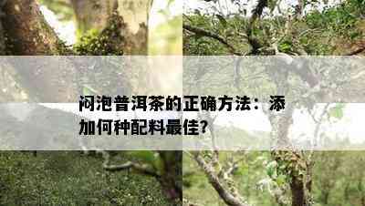 闷泡普洱茶的正确方法：添加何种配料更佳？