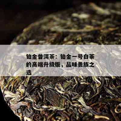 铂金普洱茶：铂金一号白茶的高端升级版，品味贵族之选