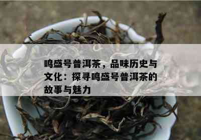 鸣盛号普洱茶，品味历史与文化：探寻鸣盛号普洱茶的故事与魅力