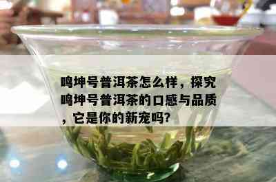 鸣坤号普洱茶怎么样，探究鸣坤号普洱茶的口感与品质，它是你的新宠吗？