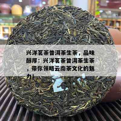 兴洋茗茶普洱茶生茶，品味醇厚：兴洋茗茶普洱茶生茶，带你领略云南茶文化的魅力！