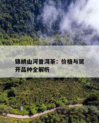 锦绣山河普洱茶：价格与贺开品种全解析