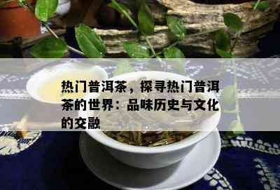 热门普洱茶，探寻热门普洱茶的世界：品味历史与文化的交融