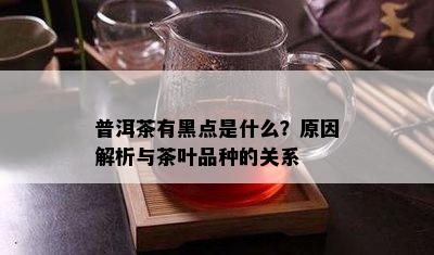 普洱茶有黑点是什么？起因解析与茶叶品种的关系