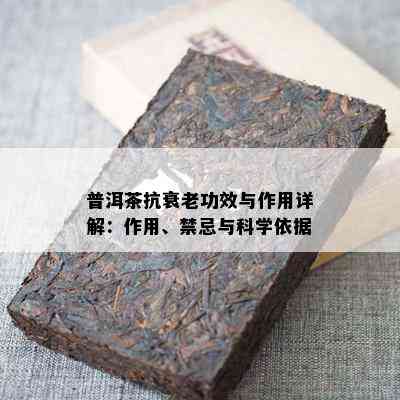 普洱茶抗衰老功效与作用详解：作用、禁忌与科学依据