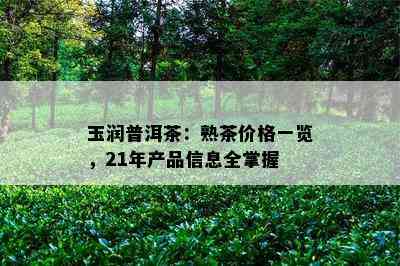 玉润普洱茶：熟茶价格一览，21年产品信息全掌握