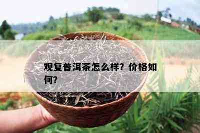 观复普洱茶怎么样？价格怎样？