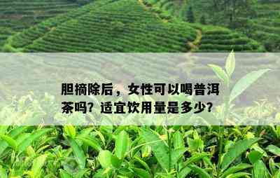 胆摘除后，女性可以喝普洱茶吗？适宜饮用量是多少？