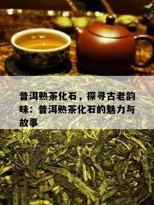 普洱熟茶化石，探寻古老韵味：普洱熟茶化石的魅力与故事