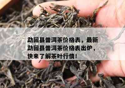 勐固县普洱茶价格表，最新勐固县普洱茶价格表出炉，快来熟悉茶叶行情！