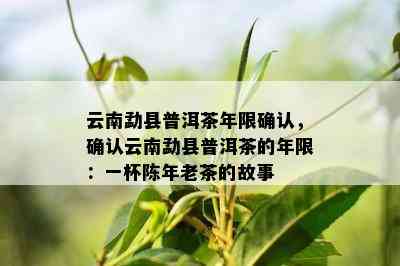 云南勐县普洱茶年限确认，确认云南勐县普洱茶的年限：一杯陈年老茶的故事