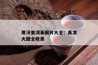 厚沃普洱茶图片大全：高清大图全收录