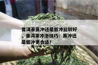 普洱茶高冲还是低冲比较好，普洱茶冲泡技巧：高冲还是低冲更合适？