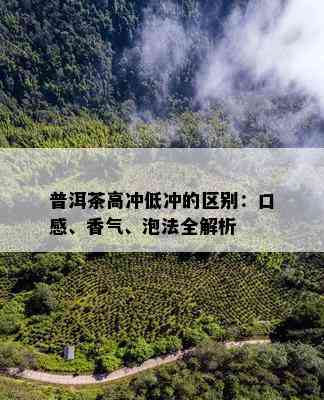 普洱茶高冲低冲的区别：口感、香气、泡法全解析