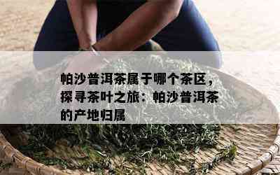 帕沙普洱茶属于哪个茶区，探寻茶叶之旅：帕沙普洱茶的产地归属