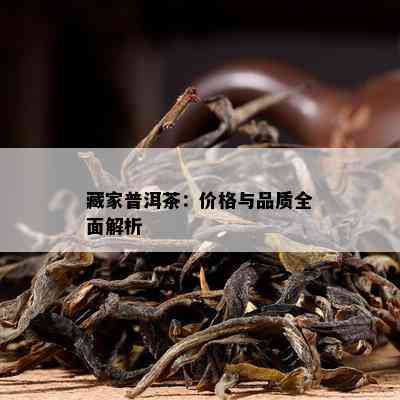 藏家普洱茶：价格与品质全面解析