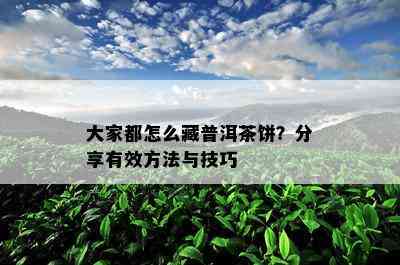 大家都怎么藏普洱茶饼？分享有效方法与技巧