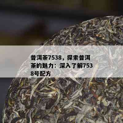 普洱茶7538，探索普洱茶的魅力：深入了解7538号配方