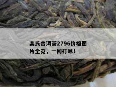 栾氏普洱茶2796价格图片全览，一网打尽！