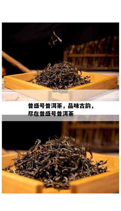 普盛号普洱茶，品味古韵，尽在普盛号普洱茶