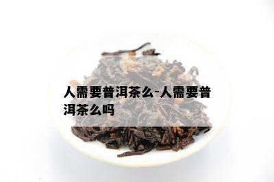 人需要普洱茶么-人需要普洱茶么吗