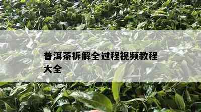 普洱茶拆解全过程视频教程大全