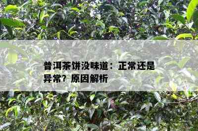 普洱茶饼没味道：正常还是异常？起因解析