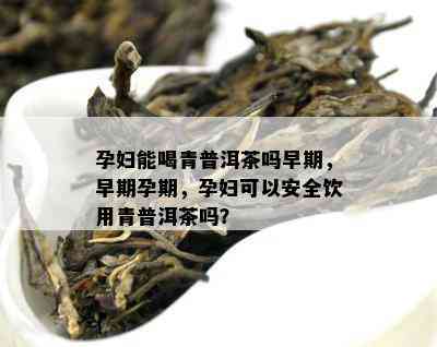 孕妇能喝青普洱茶吗早期，早期孕期，孕妇可以安全饮用青普洱茶吗？