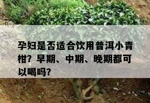 孕妇是不是适合饮用普洱小青柑？早期、中期、晚期都可以喝吗？