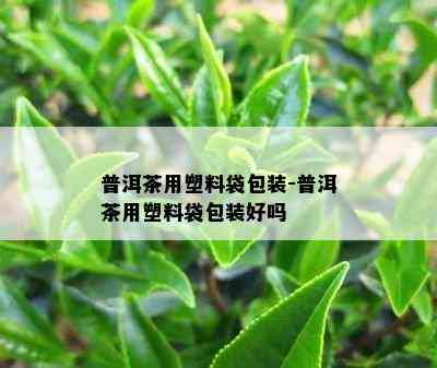 普洱茶用塑料袋包装-普洱茶用塑料袋包装好吗