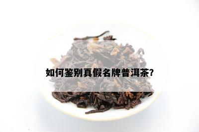 怎样鉴别真假名牌普洱茶？