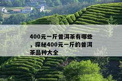 400元一斤普洱茶有哪些，探秘400元一斤的普洱茶品种大全