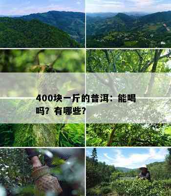 400块一斤的普洱：能喝吗？有哪些？