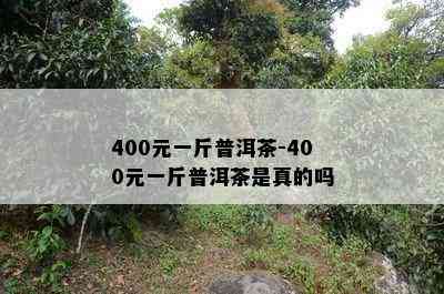 400元一斤普洱茶-400元一斤普洱茶是真的吗